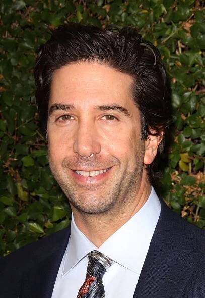 Foto k tématu David Schwimmer – stránka 14