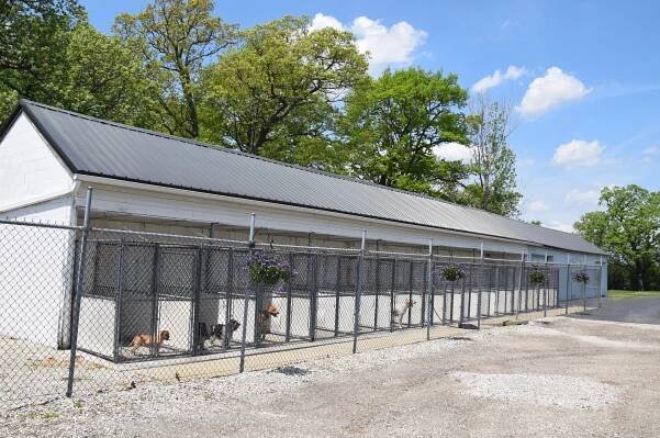 Boarding | Sundance Kennels - Pet Boarding, German Shorthair Pointers, Field & Obedience Training