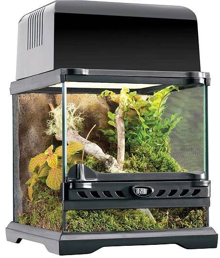 ExoTerra Nano terárium 20x20x20 cm