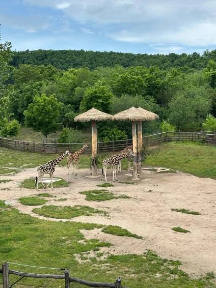 ZOO PRAHA | ZŠ Bystřany