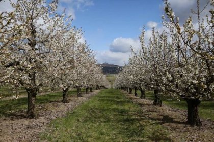 OBRAZEM: Krásné jaro v Českém středohoří. Prošli jsme se kolem Třebenic