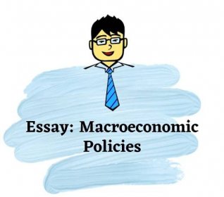 Essays on Macroeconomic Policies | Economics Tuition Online