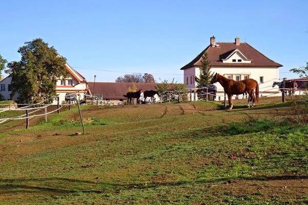 Jezdecký klub Výzkumného ústavu živočišné výroby Uhříněves foto 1
