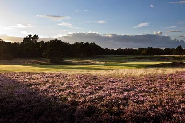 Walton Heath - Premier Golf