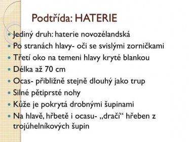 PPT - HATERIE, ŽELVY, KROKODÝLOVÉ PowerPoint Presentation, free download - ID:1982030