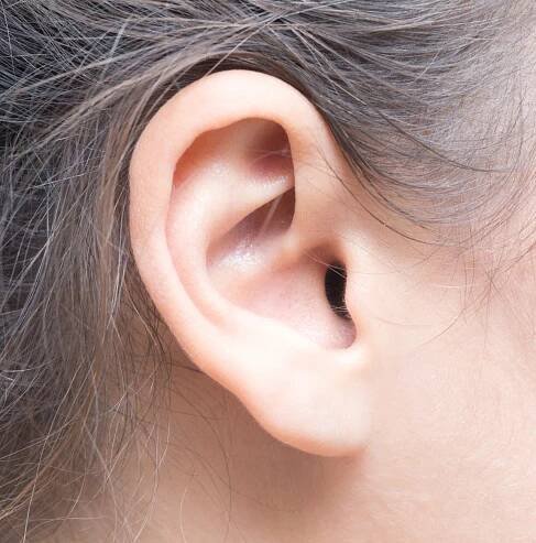 About the Ear - Ears & Hearing UK