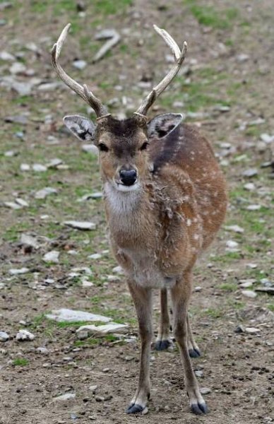 Index of /tiskove-zpravy-2022/TZ-24-2022-04-07-SIKA