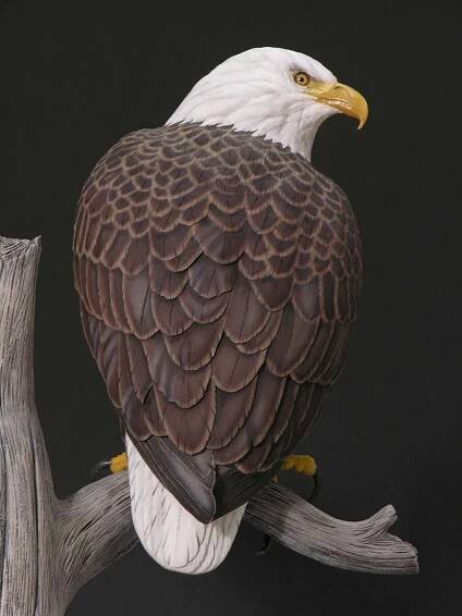 Wildlife Art by Dave Alexander | Bald Eagle