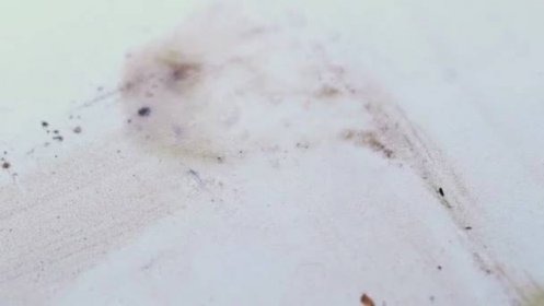 Sanace plísní doma. Hospodyňka odstraňuje černé skvrny způsobené plísní a houba HD — Stock záběr