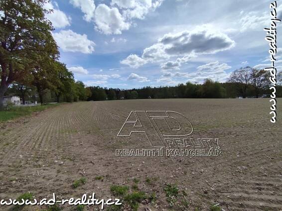 Prodej Pozemek, Olešnice, okres České Budějovice
