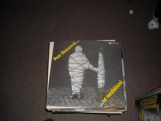 LP  PETR SKOUMAL - LP / Vinylové desky