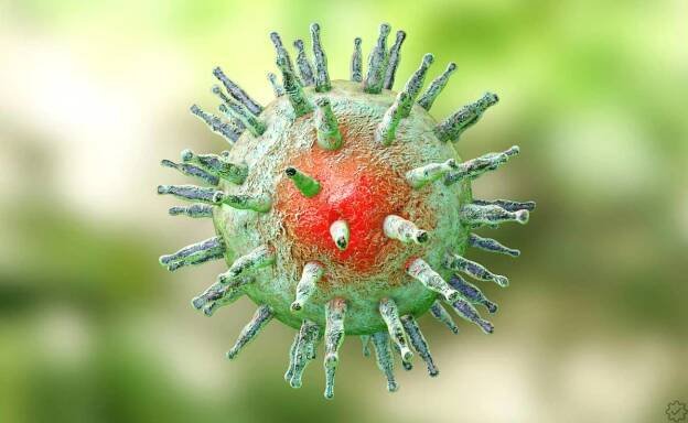Epstein-Barrové virus (EBV): Všechno, co potřebujete vědět o této časté infekci