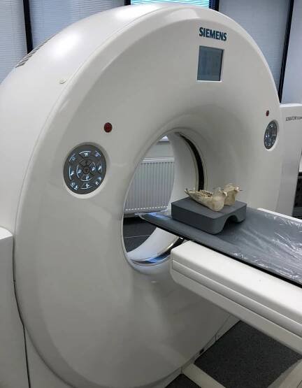 3D zobrazovací technologie | Katedra myslivosti a lesnické zoologie