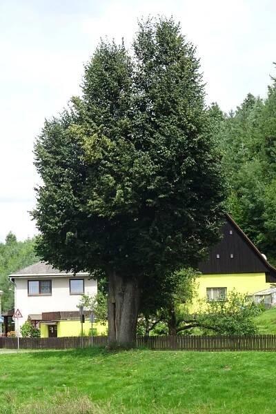 Fotografie - Havlovice - 17.07.2021