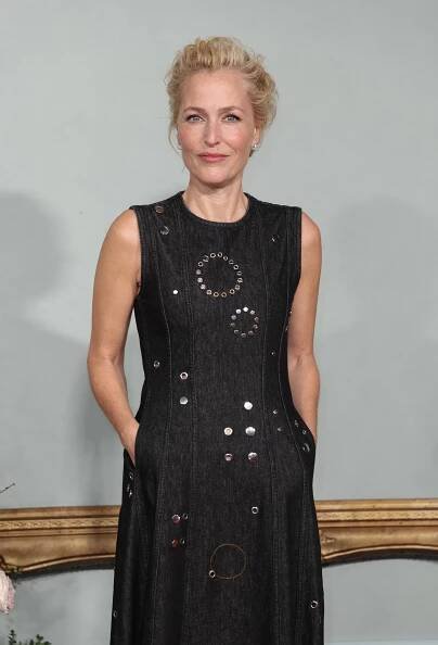 CUL_PS_Gillian_Anderson