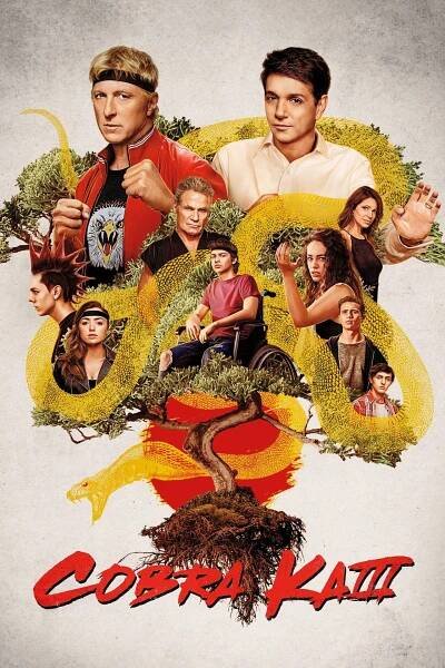 Série 3 seriálu Cobra Kai