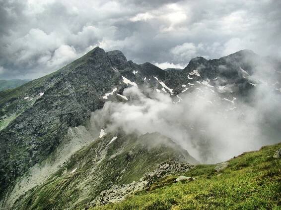 Fagaraš: ideální hřebenovka na příští léto