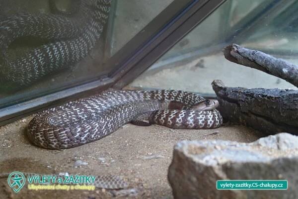 Krokodýlí ZOO Protivín - Jihočeský kraj (2CZ-027): Výlety a zážitky