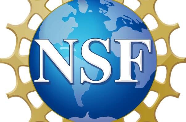 NSF CAREER award