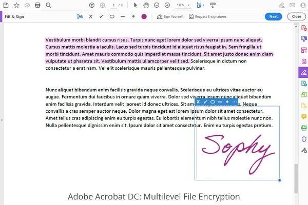 adobe acrobat dc multilevel file encryption
