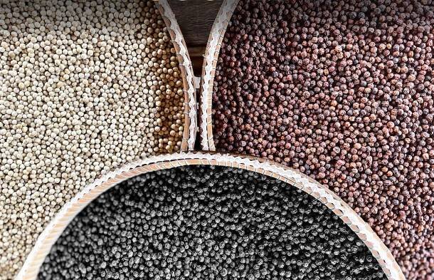 .pepper..field: Adaptace logistiky na míru značky | Skladon