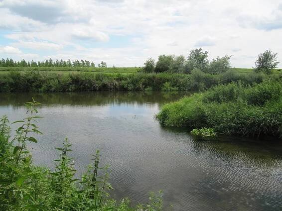 Jevišovka (řeka) – Wikipedie