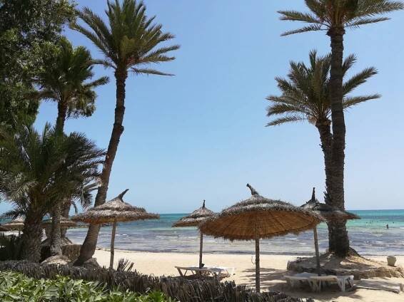 Fotogalerie: SMY Hari Club Beach Resort, Djerba, Tunisko, uživatele Jirka2019 - Cestolino.cz