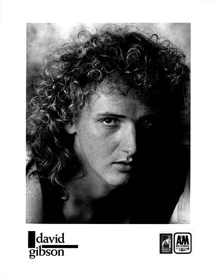 David Gibson | On A&M Records