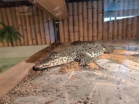 Krokodýlí zoo (Zoo) • Mapy.com