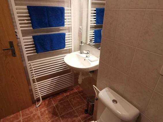 Apartmán na horách - apartmán k pronájmu - 15 Hrabětice - foto 15