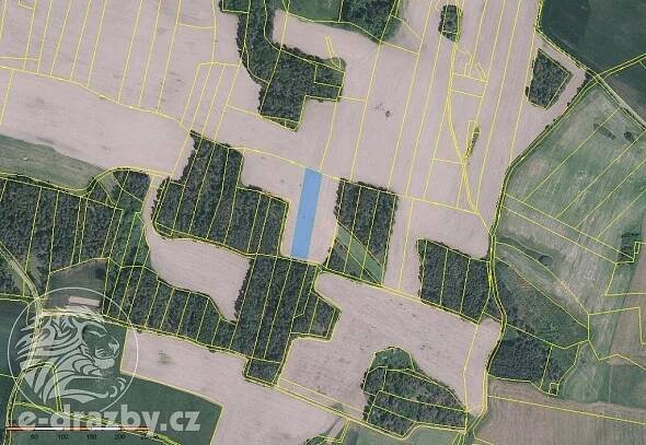 Prodej Pozemek, Doubravice, okres Strakonice