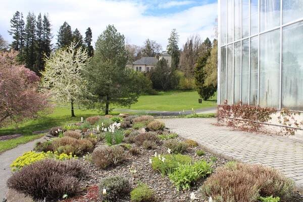 Arboretum na Opavsku je teď hitem. Není divu! Neuvěříte, co všechno už kvete