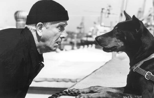 Leslie Nielsen in Bláznivá střela 2 a 1/2: Vůně strachu (1991)