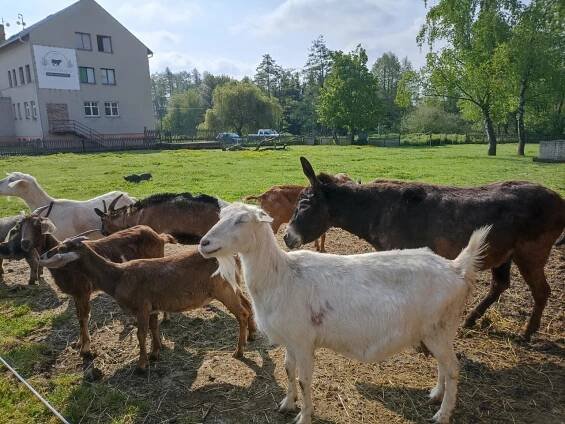 Farma Bláto - 16.5. - Oficiální stránky Základní školy Vrdy