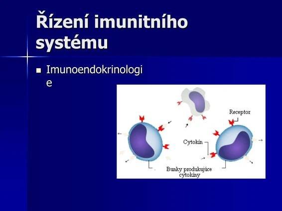 PPT - Pediatrie PowerPoint Presentation, free download - ID:4189888