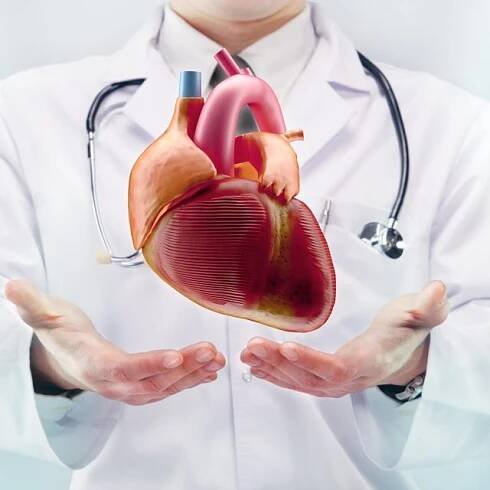 Kardiologie | foto: Shutterstock