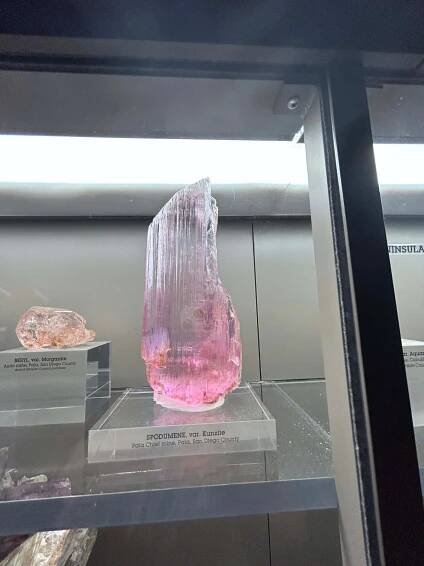 LA Natural History Museum – Camper Chronicles