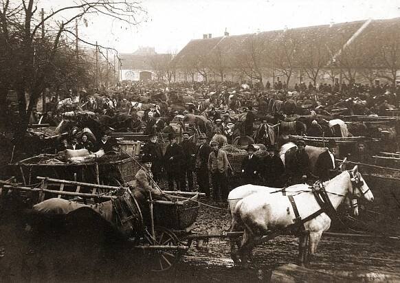 Slavné dobytčí trhy u Dvora, rok 1925