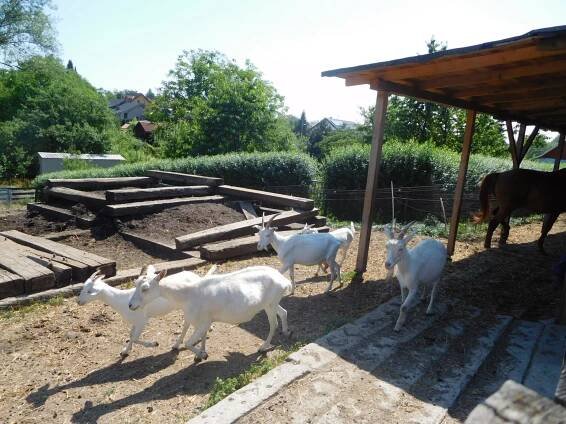 Školní družina – Základní škola Opava