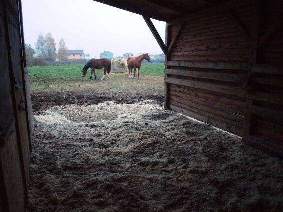 Stáj - minifarmička u Lupínka | Kam Ke Koním?