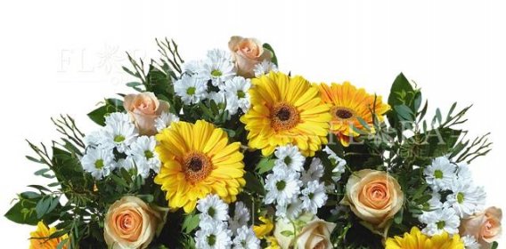 Jakou květinu k narozeninám? | Flora Online