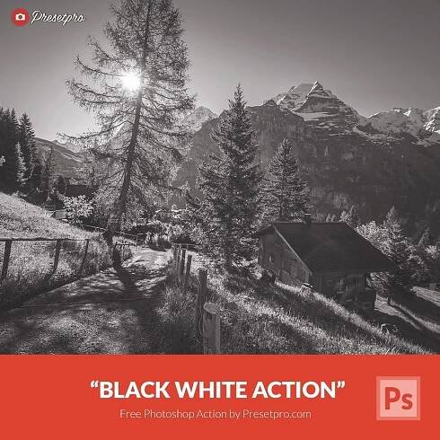 Free Photoshop Action Black White