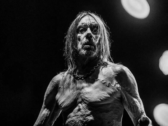 Iggy Pop Announces New Album Every Loser