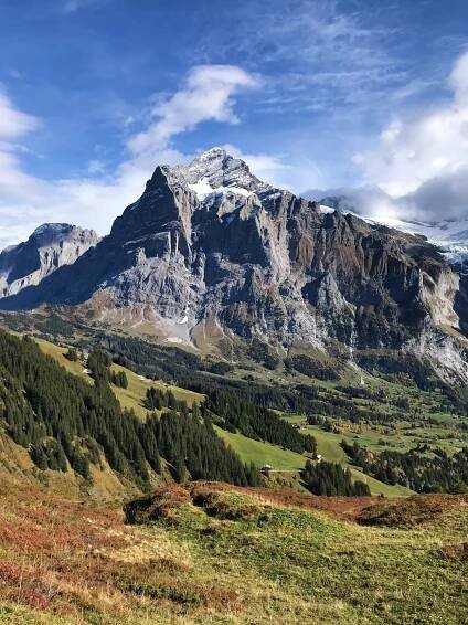 Grindelwald Switzerland [two days at the "Top of Europe"] - Annie Miller Co.