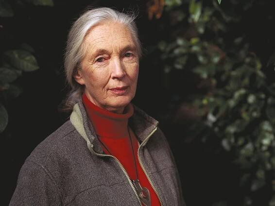 Jane Goodall on the Simple Steps We Should All Take to Save the Planet