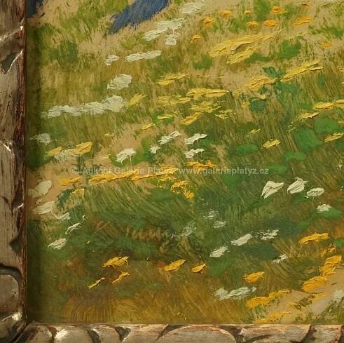 Karel Langer / Rozkvetlé louky - detail aukce « Aukce « Aukční Galerie Platýz