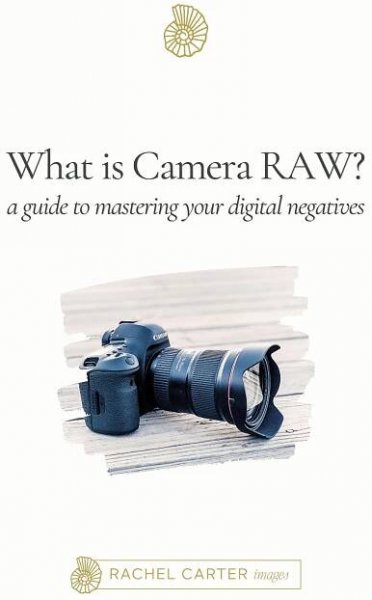 what is camera raw?