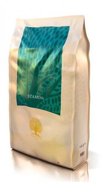 ESSENTIAL FOODS Stamina 10kg