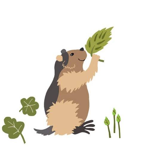 vektorová ilustrace lemování. šelma je hlodavec, lesní křeček drží v tlapkách list břízy. divoké zvíře v přírodě. - lumík norský stock ilustrace