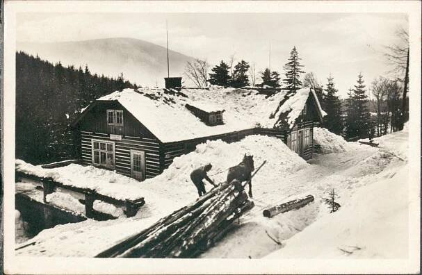 10D11282 Krkonoše - Harrachov - Mumlavská bouda - svážení dřeva - Pohlednice místopis